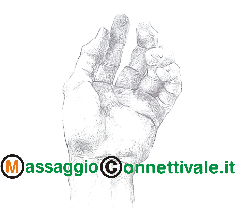 logo massaggio connettivale 